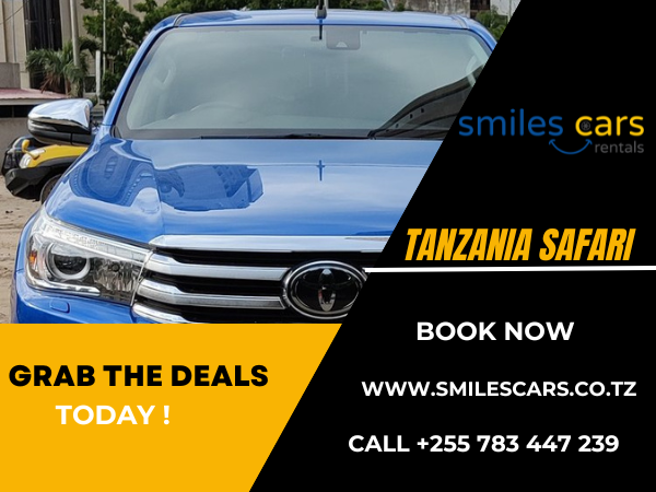 Cheap Car Rental Services in Arusha, Tanzania: Things to Consider